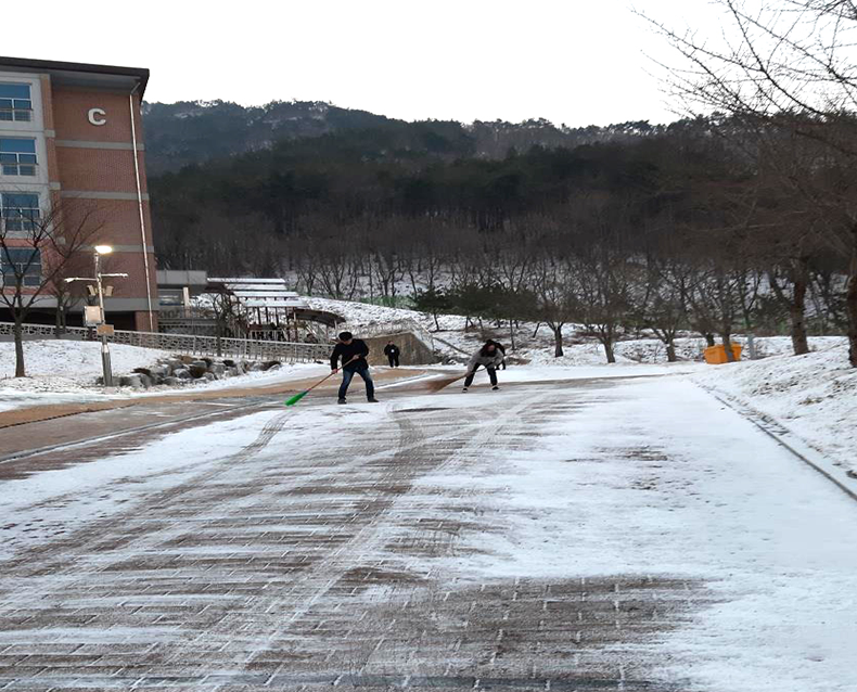 교육기간 중 교육생 및 직원이 안전하게 이동할 수 있도록 전직원이 제설작업에 동참했다. (12월 20일, 사회복무연수센터)
                   